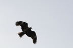 D2008075_073H