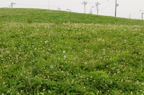 D2008076_001H