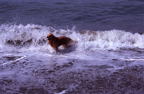 F20080901_13H