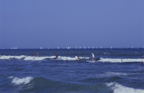 F20080902_12H