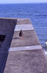F20080902_31V