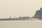 D2008081_001H