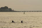 D2008081_026H