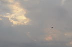 D2008083_015H