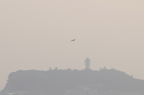 D2008084_107H