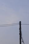 D2008084_149V