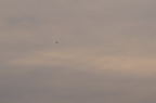 D2008084_153H