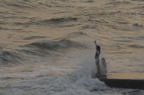 D2008086_020H