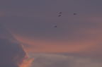 D2008089_022H