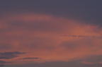 D2008089_024H