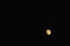 D2008089_043H