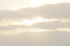 D2008091_005H