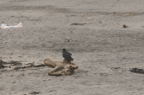 D2008091_029H