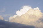 D2008093_020H