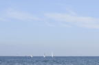 D2008095_008H