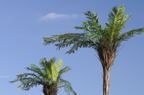 D2008095_014H