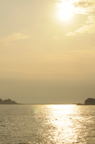 D2008096_009V