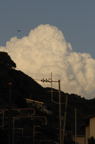 D2008096_020V
