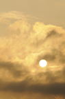 D2008096_033V