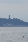 D2008096_054V