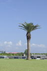 D2008098_026V