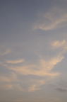 D2008099_040V