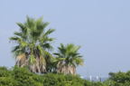 D2008101_011H