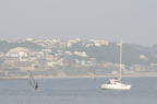 D2008101_026H