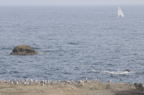 D2008101_074H
