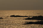 D2008101_077H