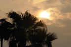 D2008101_092H