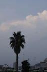 D2008101_114V