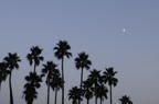 D2008105_001H