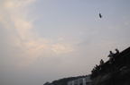 D2008107_012H