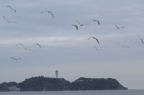 D2008110_061H