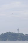 D2008110_137V