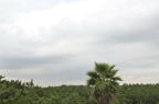 D2008110_192H