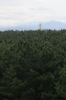 D2008110_200V