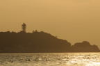 D2008111_001H