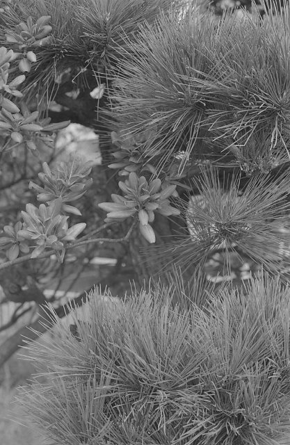 F20081001_04V