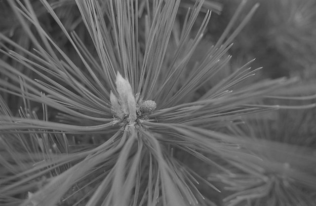 F20081002_19H