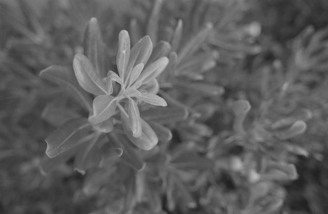 F20081002_20H