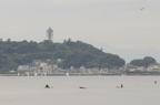 D2008112_020H