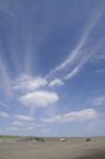 D2008114_052V