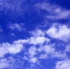 F20081101_08S
