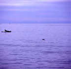 F20081201_06S