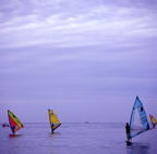 F20081201_12S