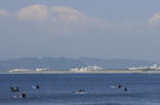 D2008121_016H