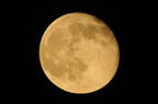 D2008123_003H