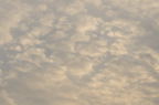 D2008125_026H